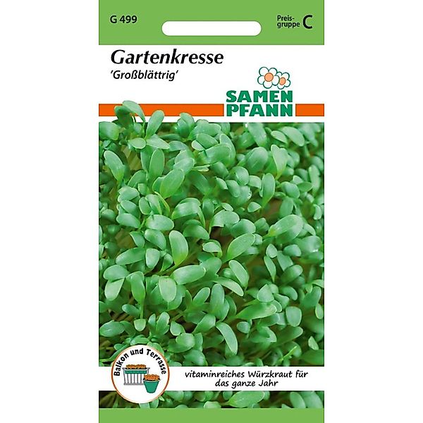 SAMEN PFANN Gartenkresse Großblättrig günstig online kaufen