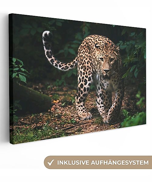 OneMillionCanvasses® Leinwandbild Wildtiere - Leopard - günstig online kaufen