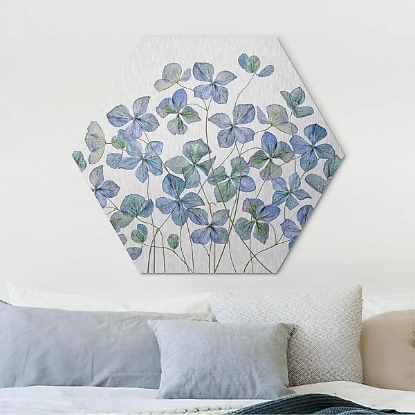 Hexagon-Alu-Dibond Bild Blumen Blaue Hortensienblüten günstig online kaufen
