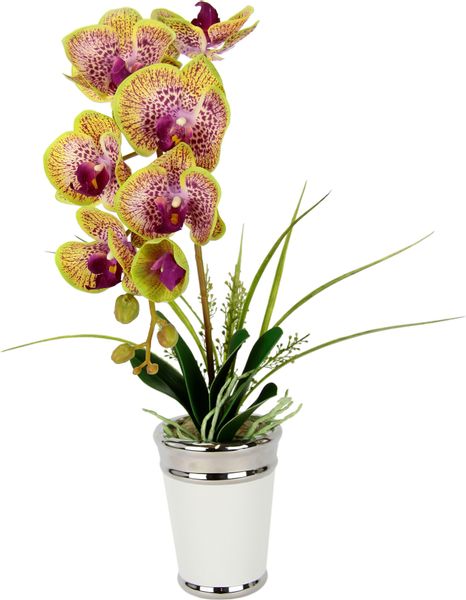 Kunstblume Orchidee, I.GE.A., Höhe 52 cm, günstig online kaufen