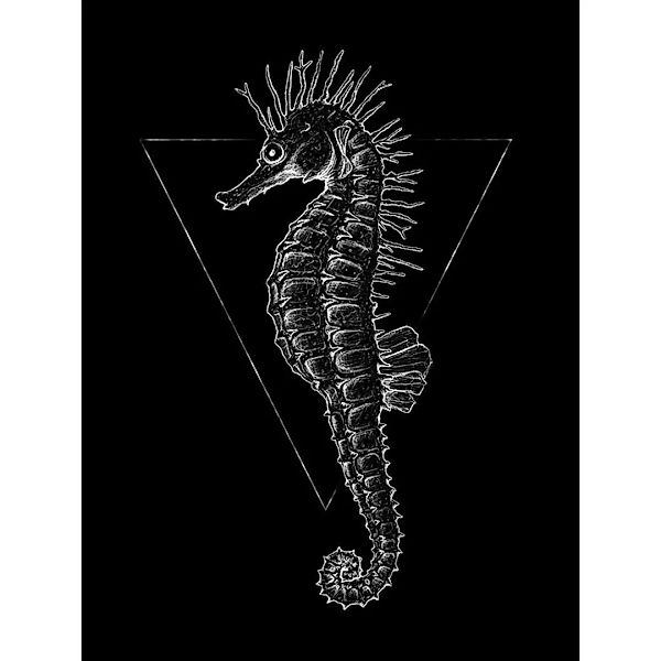 Komar Wandbild Sea Horse Black Tiere B/L: ca. 30x40 cm günstig online kaufen