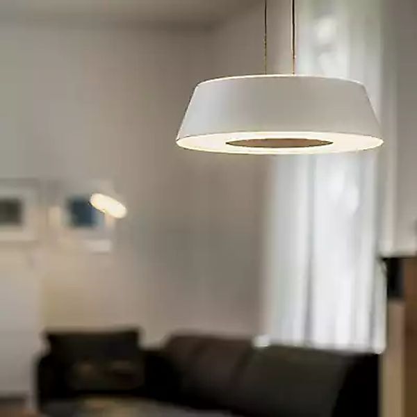 Oligo Glance Pendelleuchte LED - unsichtbar höhenverstellbar, Baldachin wei günstig online kaufen