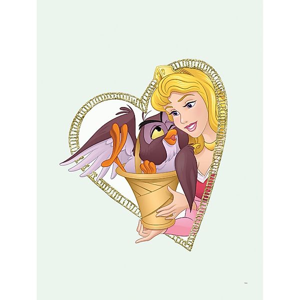Komar Bild "Aurora & Owl", Disney, (1 St.), Wandbild zur Dekoration im Kind günstig online kaufen