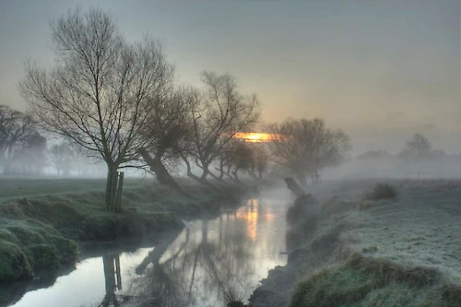 Papermoon Fototapete »Nebel Landschaft« günstig online kaufen