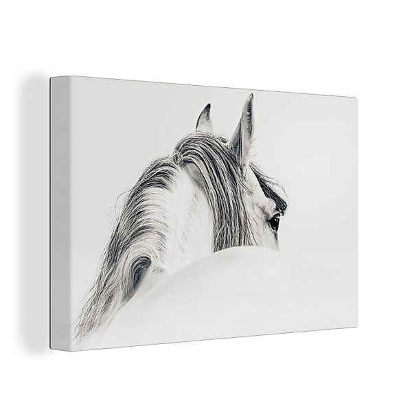 OneMillionCanvasses® Leinwandbild Pferd - Weiß - günstig online kaufen