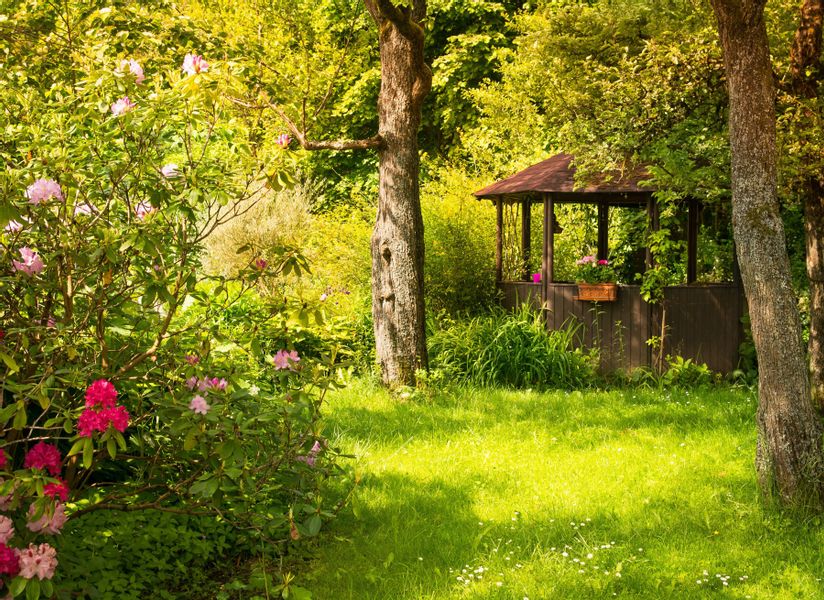 Papermoon Fototapete Magic Garden, glatt günstig online kaufen