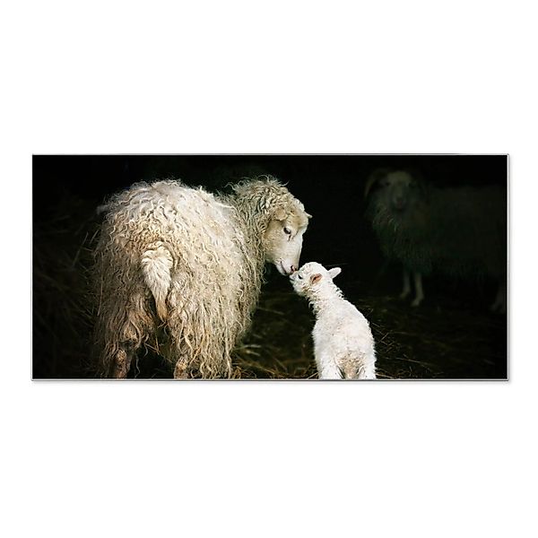 Banjado Magnettafel 78x37cm Magnetwand  Silber Aus Metall Magnetpinnwand Pi günstig online kaufen