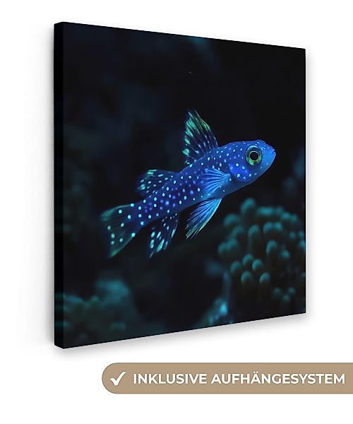 OneMillionCanvasses® Leinwandbild Fische - Punkte - günstig online kaufen