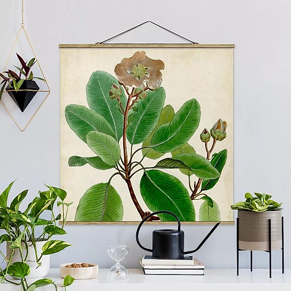 Stoffbild Blumen mit Posterleisten - Quadrat Laubbaum Schautafel VI günstig online kaufen