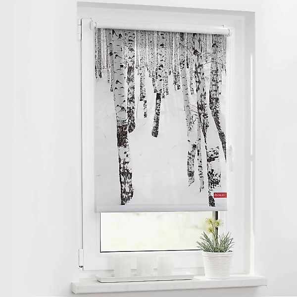Rollo Birkenwald weiß B/L: ca. 90x150 cm günstig online kaufen