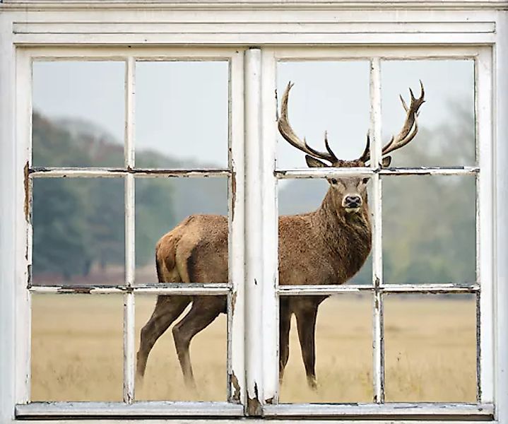 queence Wandsticker »Hirsch« Wandsticker, Wandbild, selbstklebend, 3D, Fens günstig online kaufen