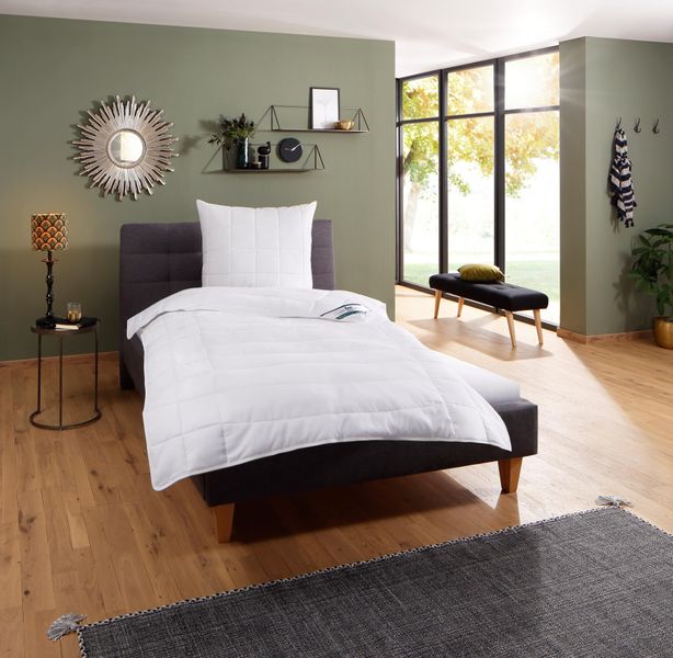 fan Microfaserbettdecke "Komfort Plus" leicht 1 Stk. tlg. zu jeder Jahresze günstig online kaufen