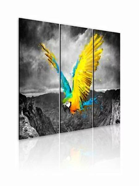 artgeist Wandbild Paradiesvogel - Triptychon mehrfarbig Gr. 60 x 40 günstig online kaufen