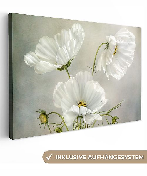OneMillionCanvasses® Leinwandbild Blumen - Stillleben - günstig online kaufen