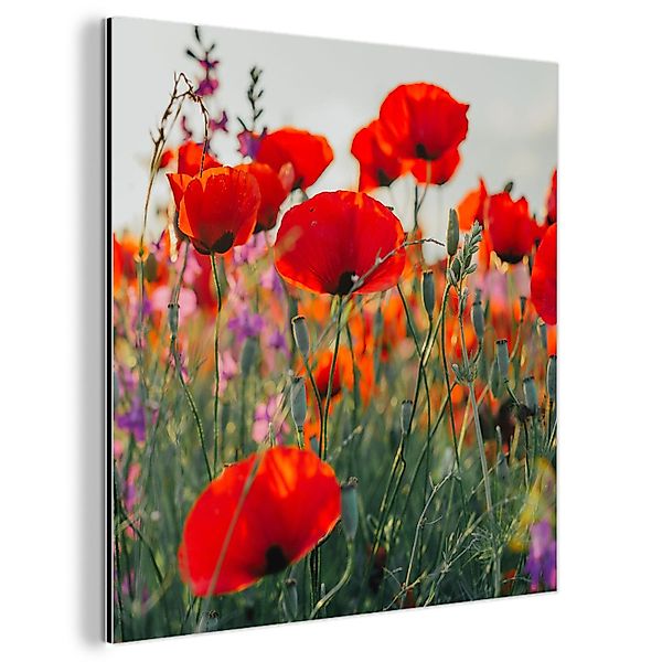 MuchoWow Metallbild Mohn - Blumen - günstig online kaufen