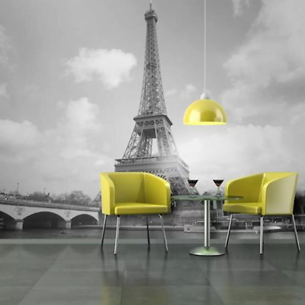 artgeist Fototapete Seine und Eiffelturm schwarz/weiß Gr. 200 x 154 günstig online kaufen