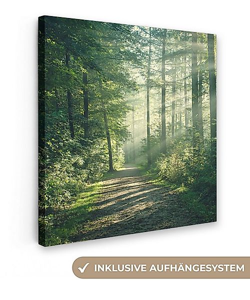 OneMillionCanvasses® Leinwandbild Wald - Weg - Sonne - Bäume - Grün - Natur günstig online kaufen