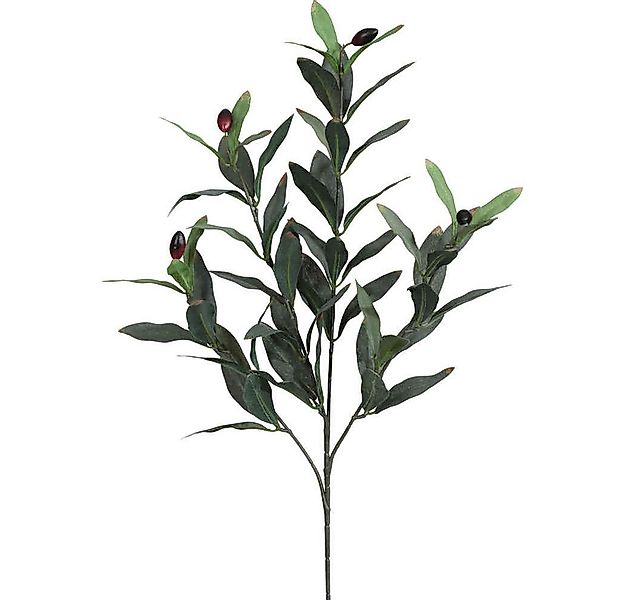 Kunstzweig Künstlicher Olivenzweig 50cm. Olivenast Olivenbaum Zweig mit 4 T günstig online kaufen