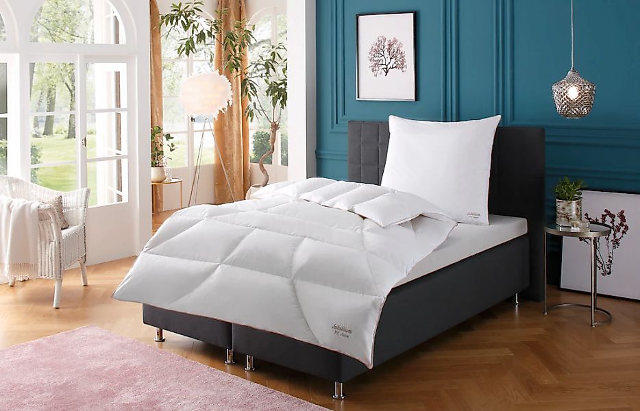 QUEENS TEXTILES Gänsedaunenbettdecke "Jubiläum, Bettdecken warm, Hausstauba günstig online kaufen