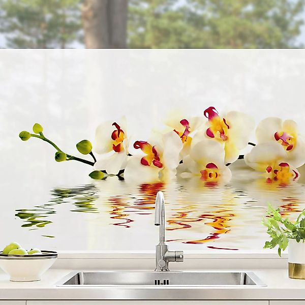 Fensterfolie Blumen Vivid Orchid Waters günstig online kaufen