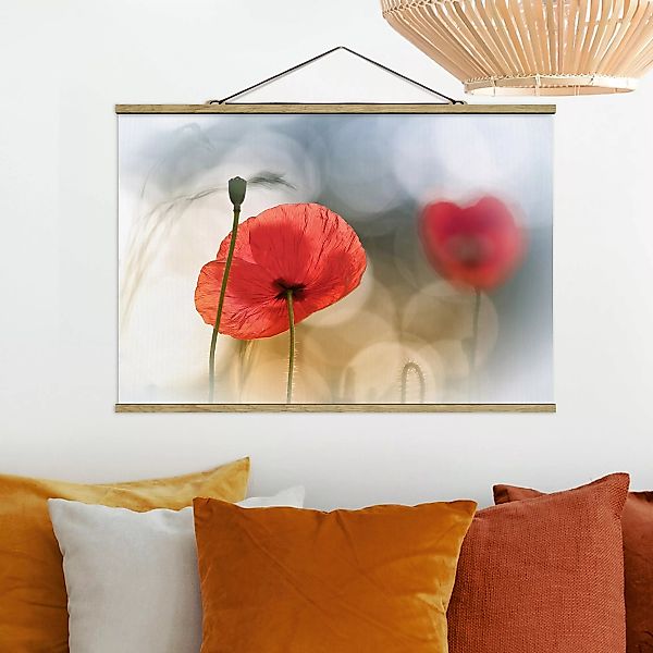 Stoffbild Blumen mit Posterleisten - Querformat Mohnblumen am Morgen günstig online kaufen