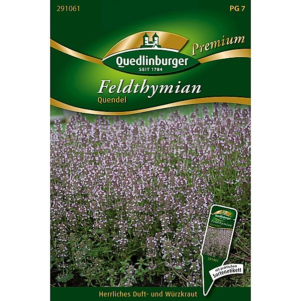 Quedlinburger Feld-Thymian Quendel Loses Saatgut günstig online kaufen