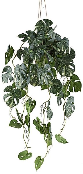 Kunstpflanze Philodendron varigata, Creativ green, Höhe 80 cm, mit Hängetop günstig online kaufen
