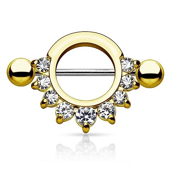 Taffstyle Intimpiercing Intim Brust Intimpiercing Schild günstig online kaufen
