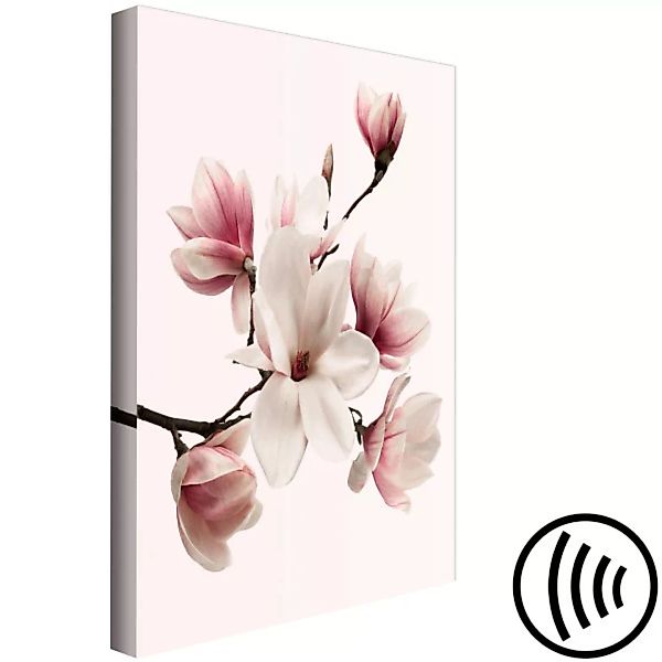 Leinwandbild Delicate Magnolias (1 Part) Vertical XXL günstig online kaufen