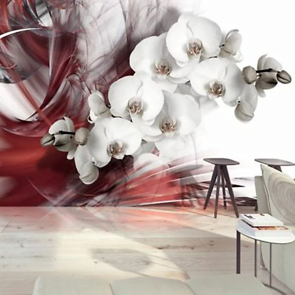 artgeist Fototapete Orchid in red mehrfarbig Gr. 300 x 210 günstig online kaufen
