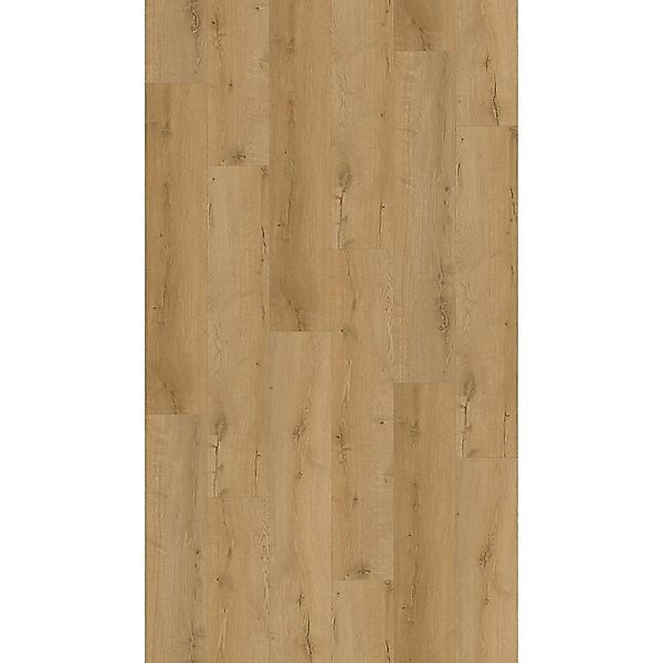 Klick-Vinylboden Eiche Farum mit integrierter Trittschalldämmung günstig online kaufen