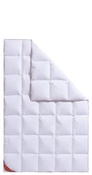 Hanse by RIBECO Daunenbettdecke "Jule" warm Füllung 90Daunen10Federn 1 Stk. günstig online kaufen