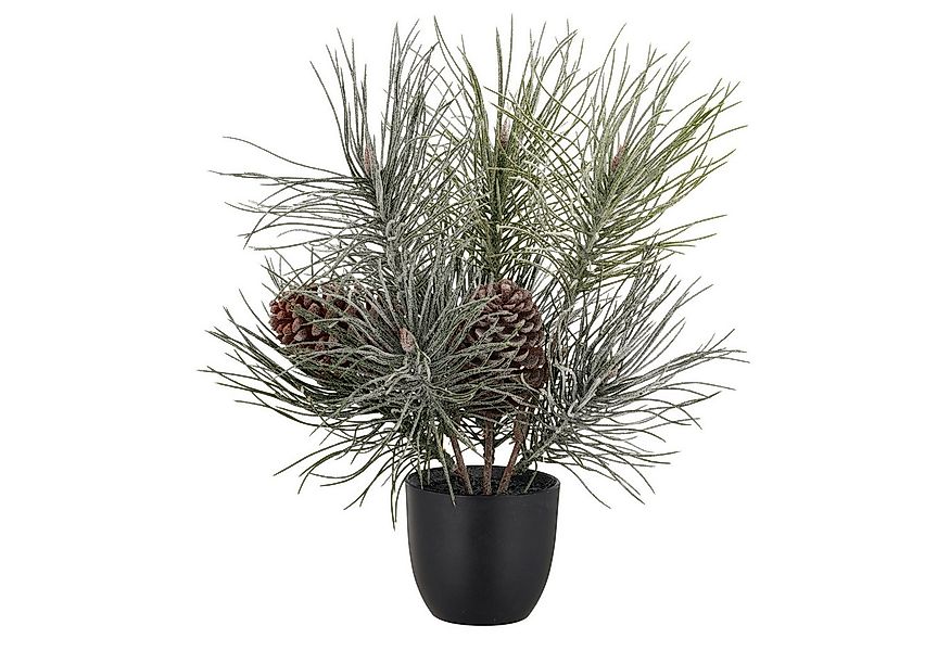 Winterliche Kunstpflanze Kiefernbäumchen, Creativ green, Höhe 38 cm, mit Fr günstig online kaufen