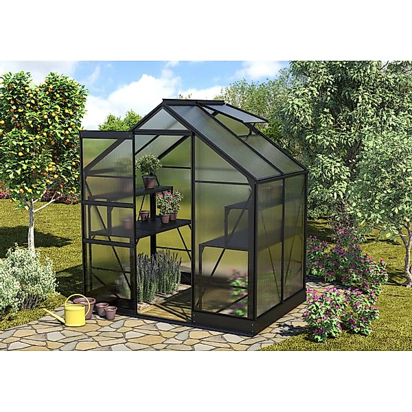 Vitavia Gewächshaus Apollo 2500 Schwarz 2,5 m² inkl. Fundament günstig online kaufen