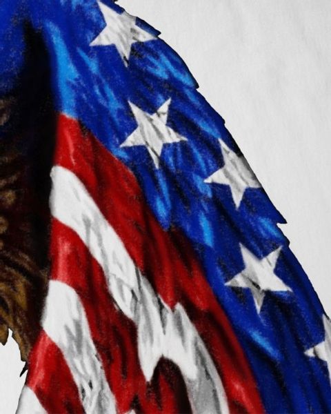 style3 T-Shirt US flagge unites states günstig online kaufen