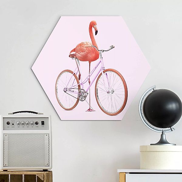 Hexagon-Alu-Dibond Bild Flamingo mit Fahrrad günstig online kaufen
