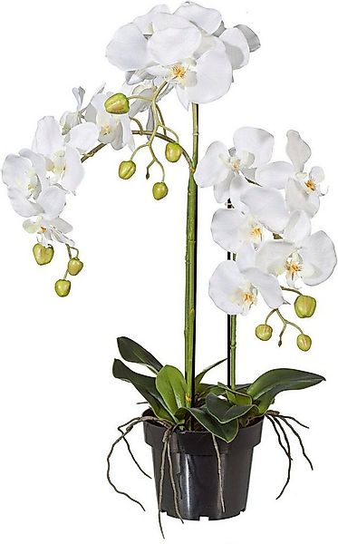 Kunstpflanze Orchidee, Creativ green, Höhe 62 cm günstig online kaufen