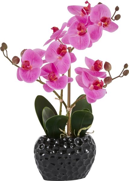 Kunstpflanze Orchidee Orchidee, Leonique, Höhe 38 günstig online kaufen