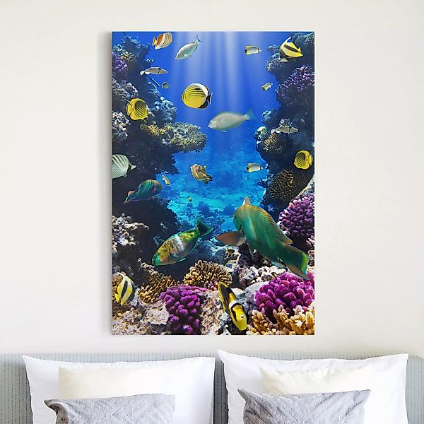 Leinwandbild - Hochformat Underwater Dreams günstig online kaufen