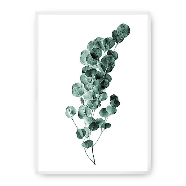 Poster Eucalyptus Emerald Green, 70 x 100 cm, Rahmen wählen: weiss günstig online kaufen