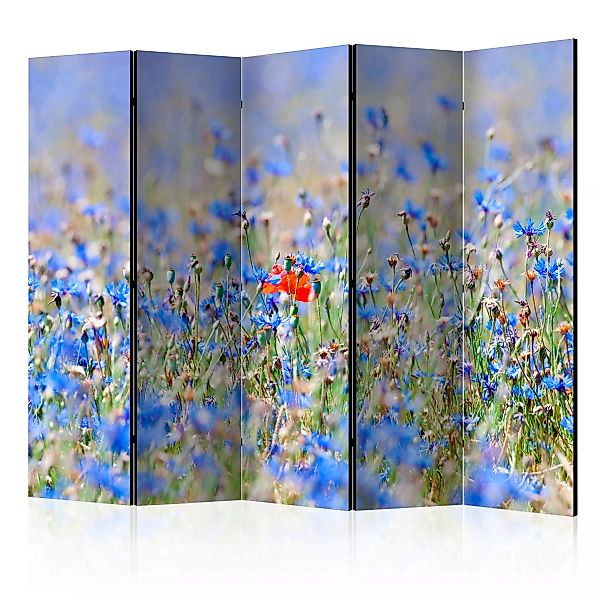 5-teiliges Paravent - A Sky-colored Meadow - Cornflowers Ii [room Dividers] günstig online kaufen