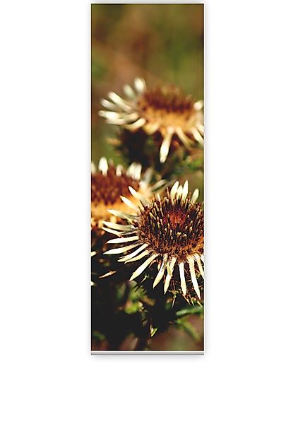 gardinen-for-life Schiebegardine Silberdistel Flächenvorhang 180 cm günstig online kaufen