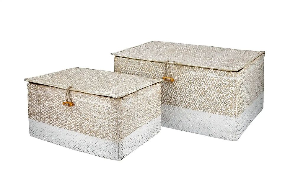 Aufbewahrungskorb  2er Set   ¦ mehrfarbig ¦ Kunststoff ¦ Maße (cm): B: 38 H günstig online kaufen