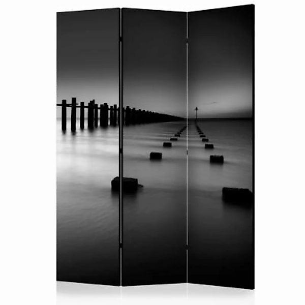artgeist Paravent To the Horizon [Room Dividers] schwarz/weiß Gr. 135 x 172 günstig online kaufen