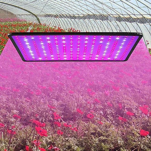 Rosnek Pflanzenlampe Volles Spektrum, 256LEDs, Gewächshaus günstig online kaufen