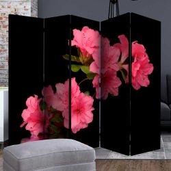 Blumenmotiv Paravent in Rosa und Schwarz Fotodruck günstig online kaufen