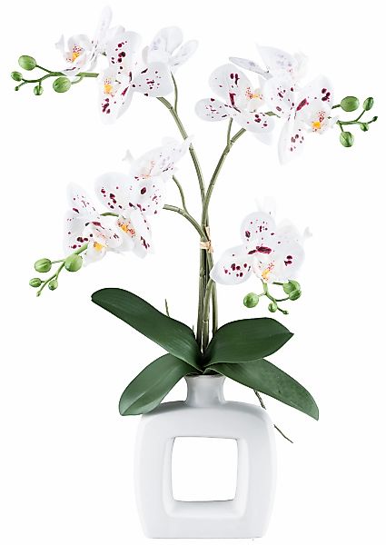 Creativ green Kunstorchidee "Orchidee Phalaenopsis", in trendigem Keramikge günstig online kaufen