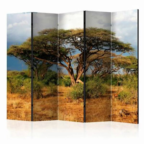 artgeist Paravent Samburu National Reserve, Kenya II [Room Dividers] grau-k günstig online kaufen