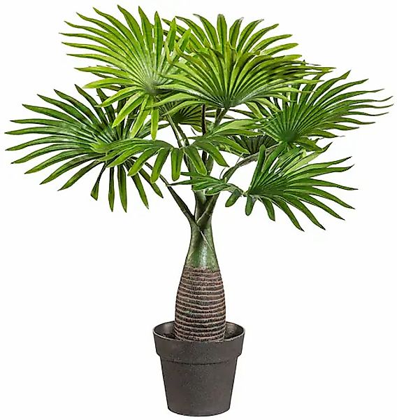 Kunstpalme Palme Mini Palme, Creativ green, Höhe 45 cm, im Kunststofftopf günstig online kaufen