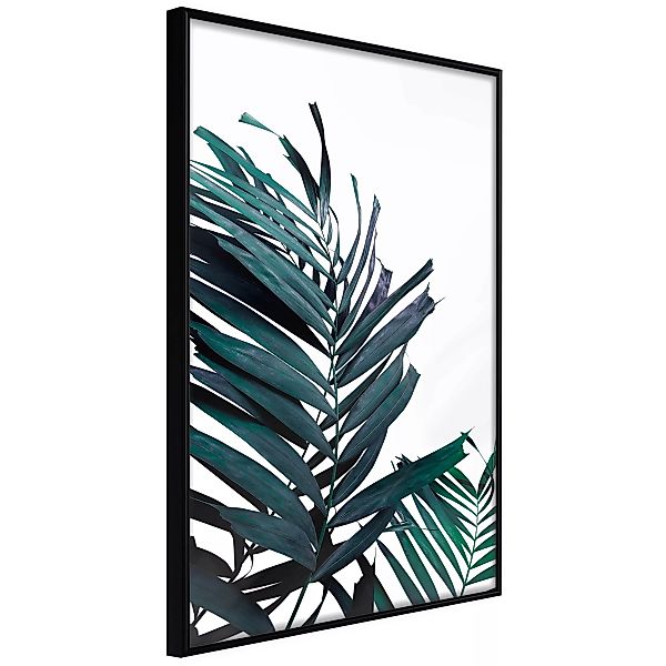 Poster - Evergreen Palm Leaves günstig online kaufen